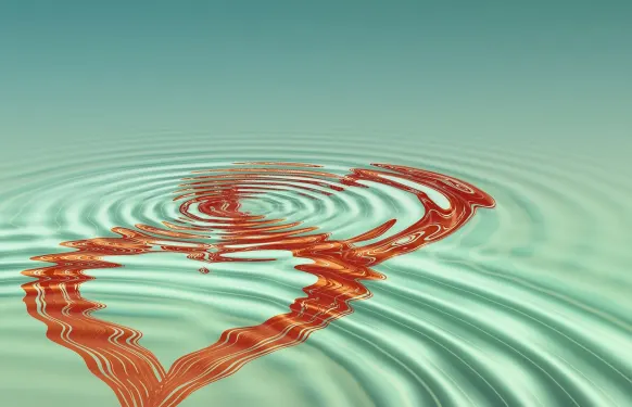 Cazino Barbados Bingo Cazinou Suport